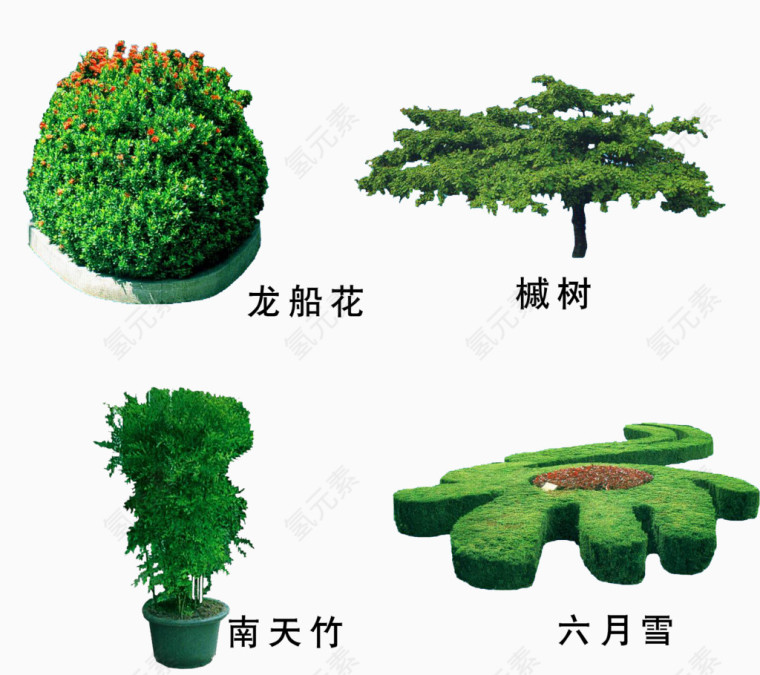 园林绿植园艺素材