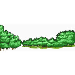 郁郁葱葱的森林