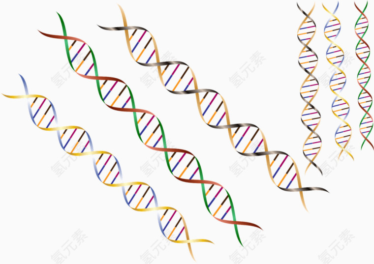 DNA