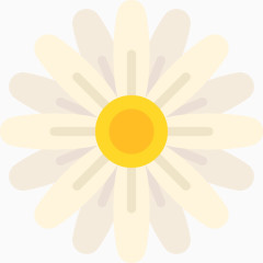 一朵粉红色的花