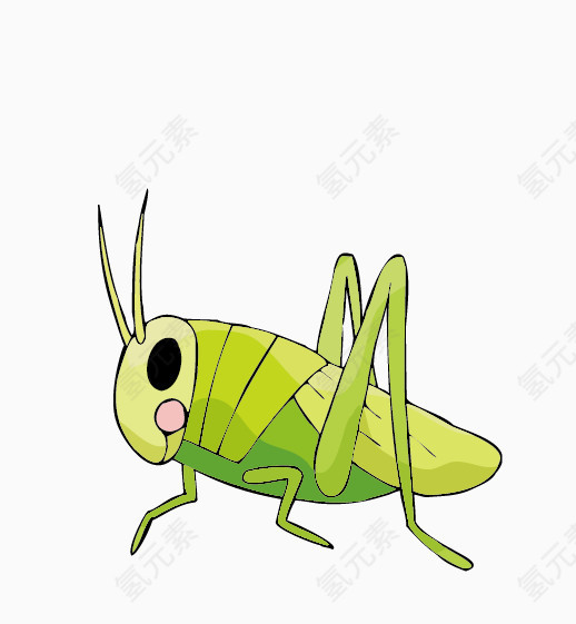 大蝗虫