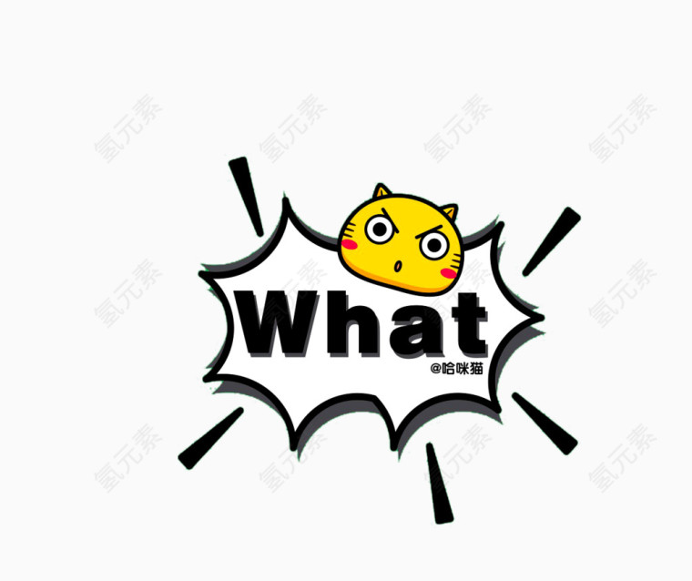 what哈咪猫