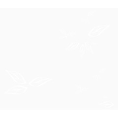 漂亮白色线条叶子