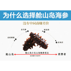 海参详情页图片说明