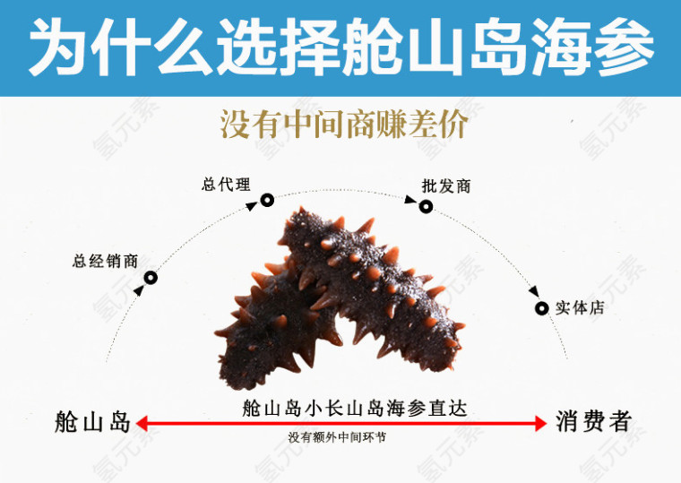 海参详情页图片说明
