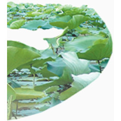 装饰     个人简历       素材