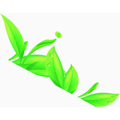 唯美小清晰的绿色