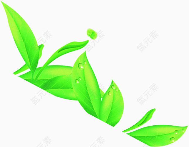 唯美小清晰的绿色