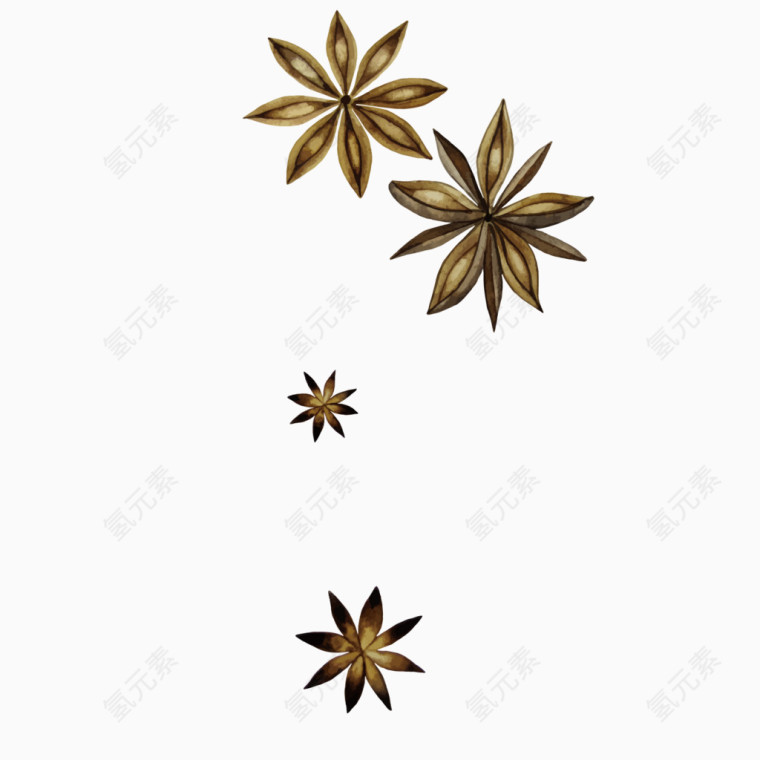矢量手绘八角香料