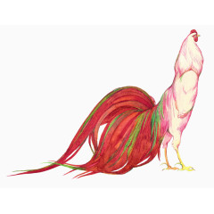 创意手绘粉色大公鸡
