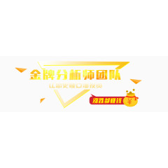 金牌分析师团队
