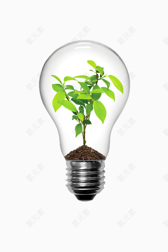 创意灯泡里的植物