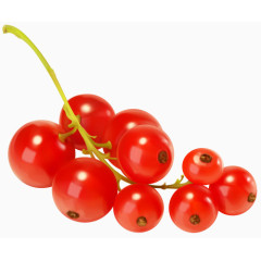 红醋栗免扣素材