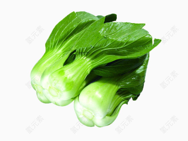 上海青蔬菜