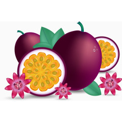 矢量手绘百香果