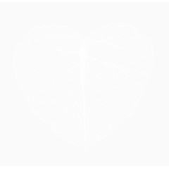 2款迎婴元素卡片矢量素材