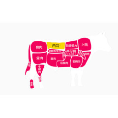 一头牛的解剖图