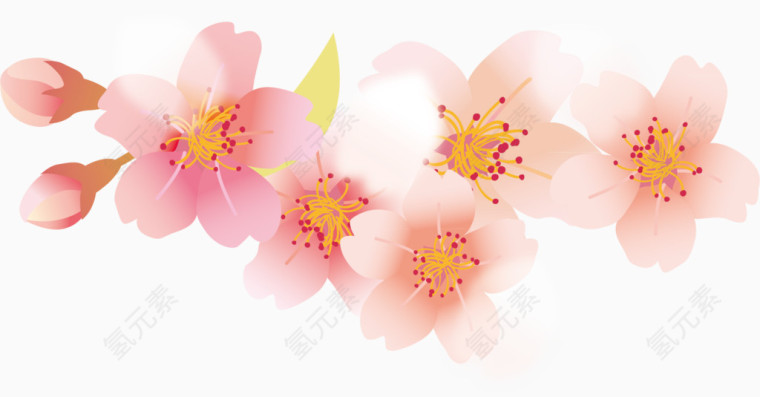 樱花花瓣元素