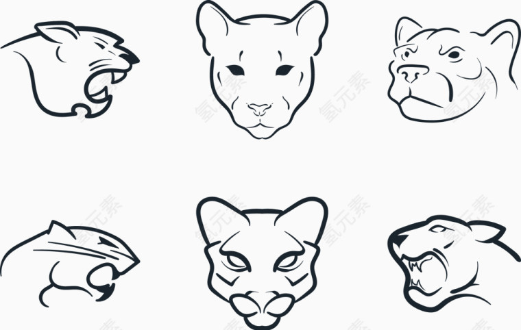 矢量美洲狮插图