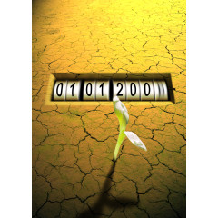 干旱的土地金色光芒