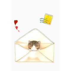 信封里的猫咪
