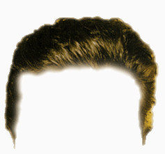 头发   假发   发型