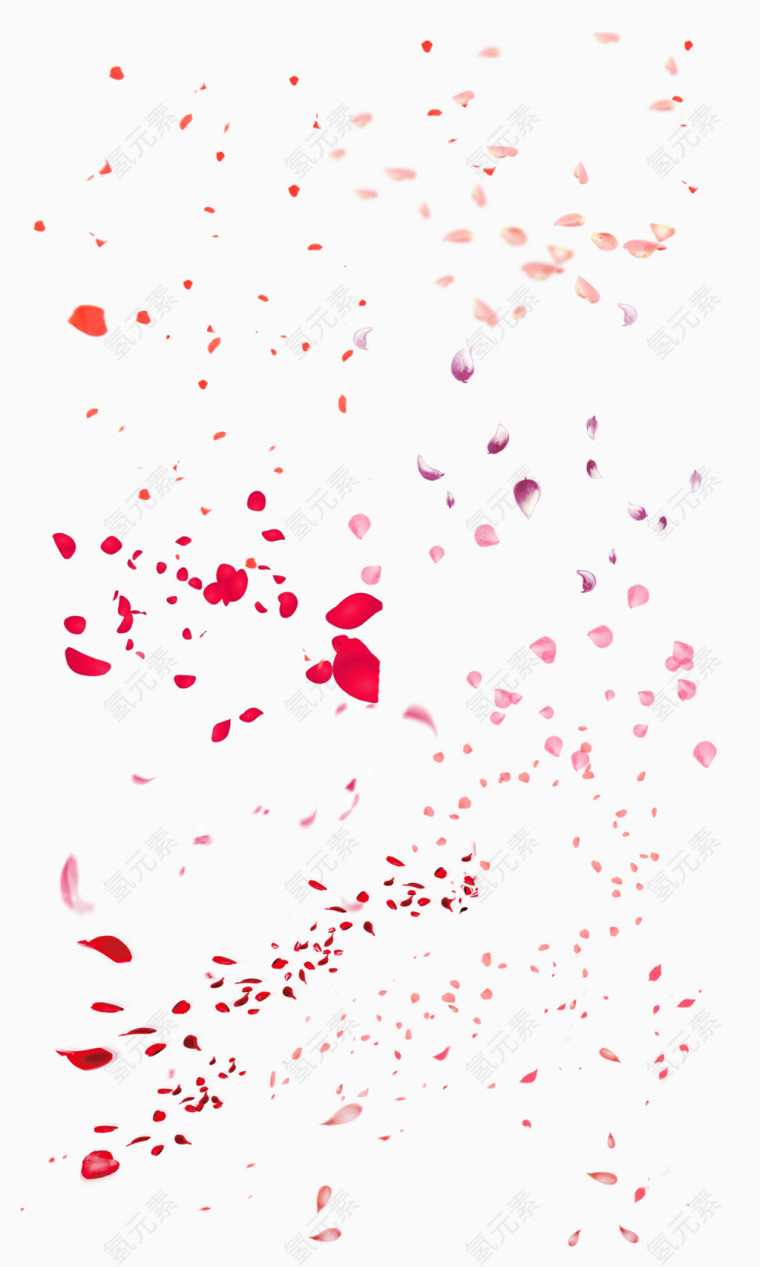 花瓣
