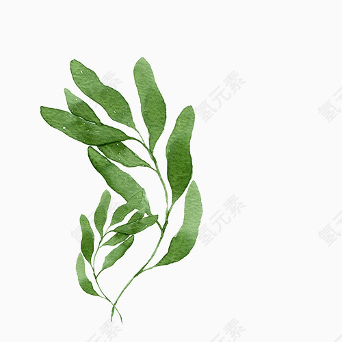 叶子清新