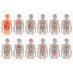 人体器官示意图