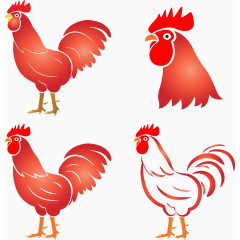 公鸡设计