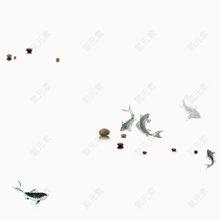 各种小金鱼素材