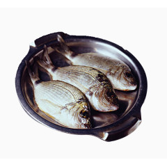 三条新鲜草鱼