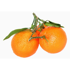 两个桔子带绿叶