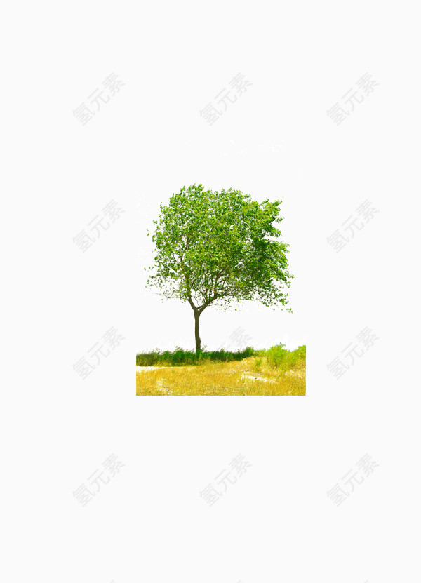 树