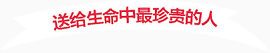 送给生命中最珍贵的人艺术字