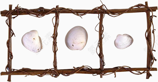 棕色枯枝漂亮扇贝