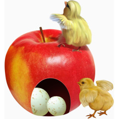 苹果和小鸡
