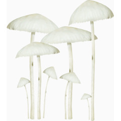 卡通白色蘑菇金针菇