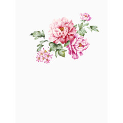 鲜艳的花朵