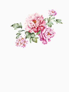 鲜艳的花朵