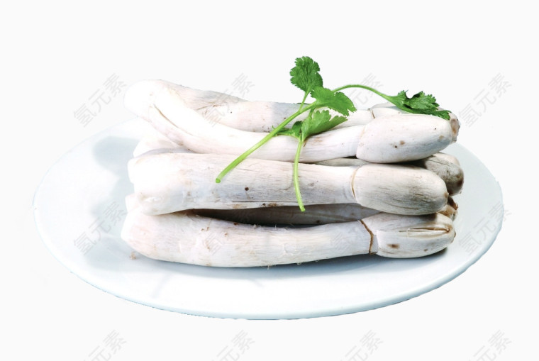 一盘鸡腿菇