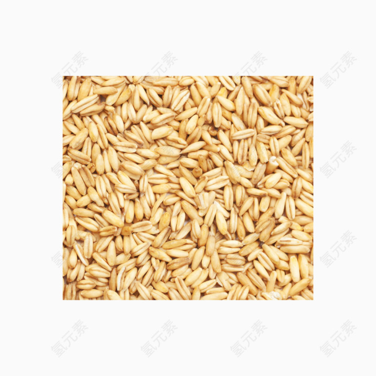 一堆远麦子高清免扣素材