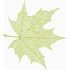 矢量绿色装饰叶脉