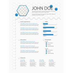 六边形元素简历模板