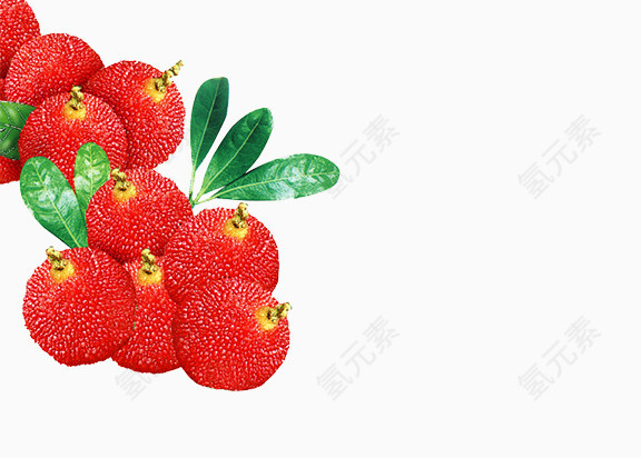 杨梅背景素材图片