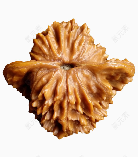 一个文玩核桃