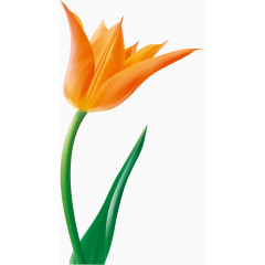 郁金香矢量素材