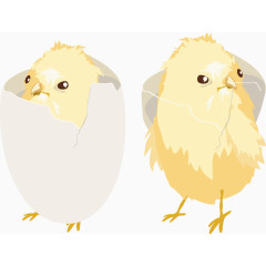 矢量鸡破壳而出