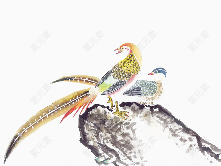 国画两只孔雀站在树枝上