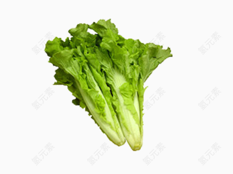好吃的生菜